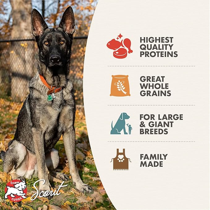 Fromm Large Breed Adult Gold Premium Dry Dog Food - Dry Adult Dog Food for Large Breeds - Chicken Recipe - 5 lb