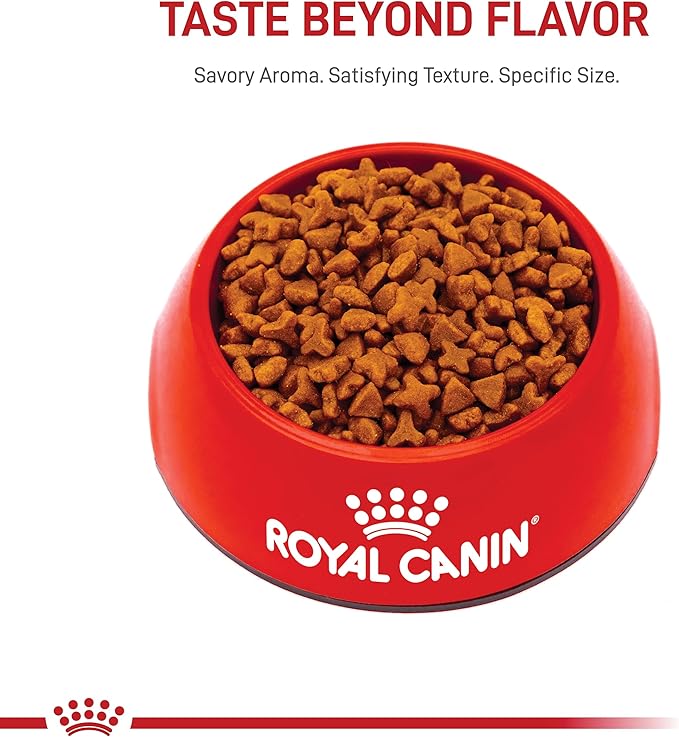 Royal Canin Feline Health Nutrition Sensitive Digestion Adult Dry Cat Food, 3.5 lb Bag