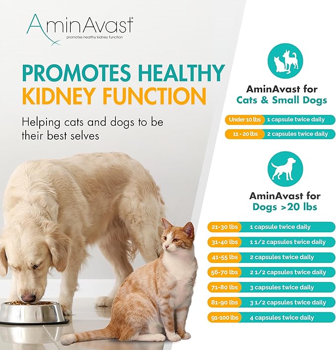 AminAvast Kidney Support Supplement for Dogs, 1000mg 3-Pack - Promotes Natural Kidney Function - Aids in Health and Vitality of Aging Kidneys - Easily Administered - 60 Sprinkle Capsules