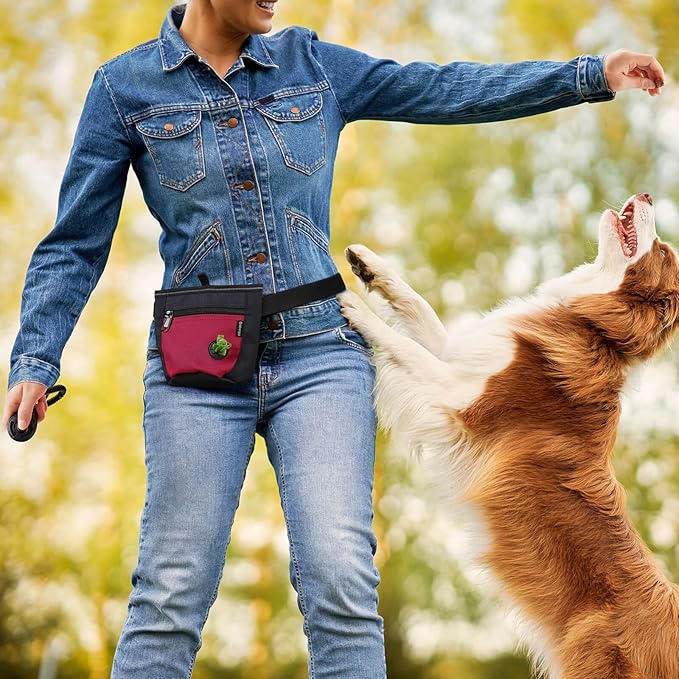 Gobeigo Dog Treat Pouch and Training Clicker, Upgrade Two Magnetic Closure to Prevent Spills, 2 Cup Treat Bag with Poop Bag Dispenser, Metal Clip Waist Belt Fanny Pack for Pet Walk (Black/Red)