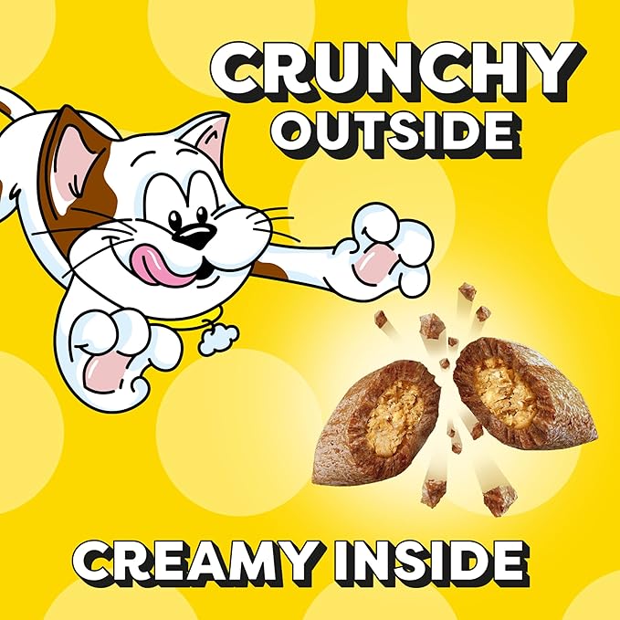 Temptations Cat Treats Classic Crunchy and Soft Cat Treats, Savory Salmon Flavor, 16 oz. Tub