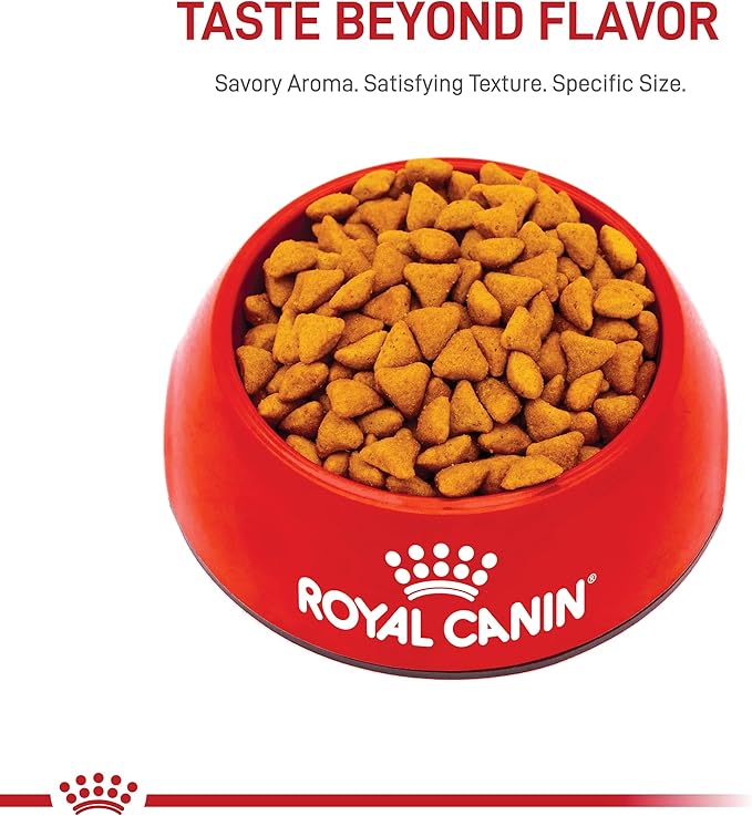 Royal Canin Feline Health Nutrition Indoor Adult Dry Cat Food, 15 lb Bag