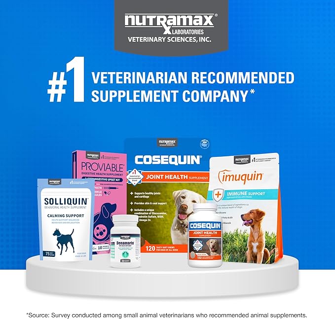 Nutramax Cosequin for Dogs Joint Health Supplement, Contains Glucosamine for Dogs, Plus Chondroitin, MSM and HA, Supports Healthy Joints, Chewable Tablets, 75 Count