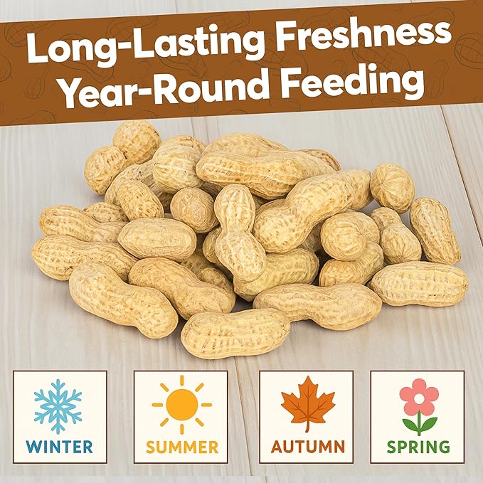 1 LB - Raw Peanuts For Squirrels, Raw In Shell Peanuts For Birds and Wildlife- Squirrel Food, Wild Bird Seed - Grown in The USA