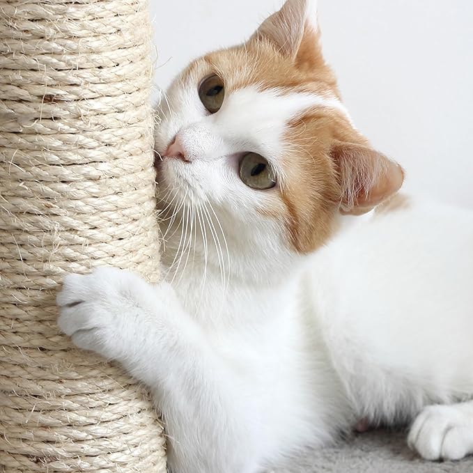 4-Tier Round Cat Tower - Large Cat Condo, Napping Perch, and 4 Sisal Rope Scratching Posts - Cat Tree for Indoor Cats by PETMAKER (Gray)