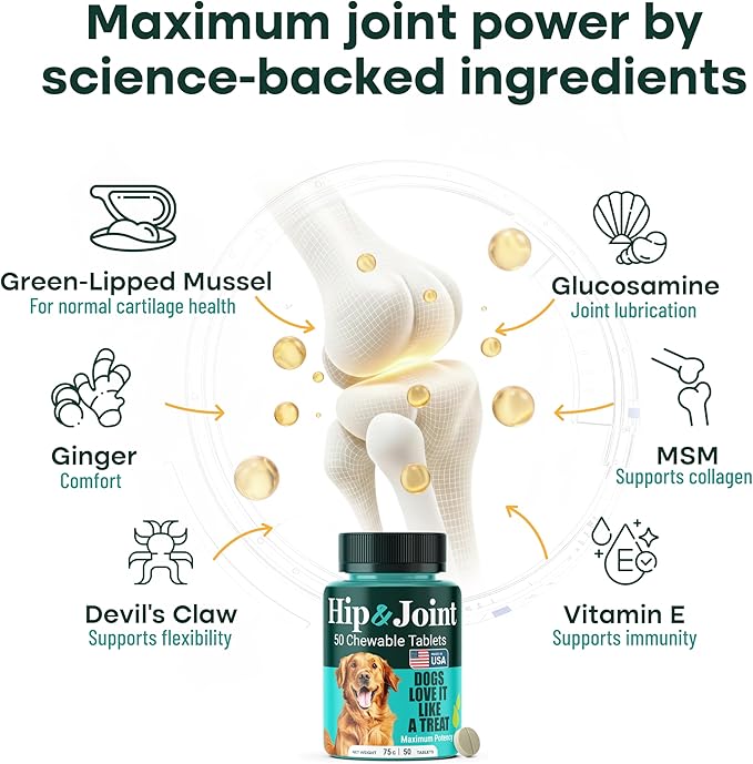 Natureflow Hip and Joint Supplement for Dogs, Arthritis Dog Joint Supplement with Green-Lipped Mussel, Glucosamine, MSM & Chondroitin, Zero Sugar Chewable Pills, Made in USA, Large Medium Small Breeds