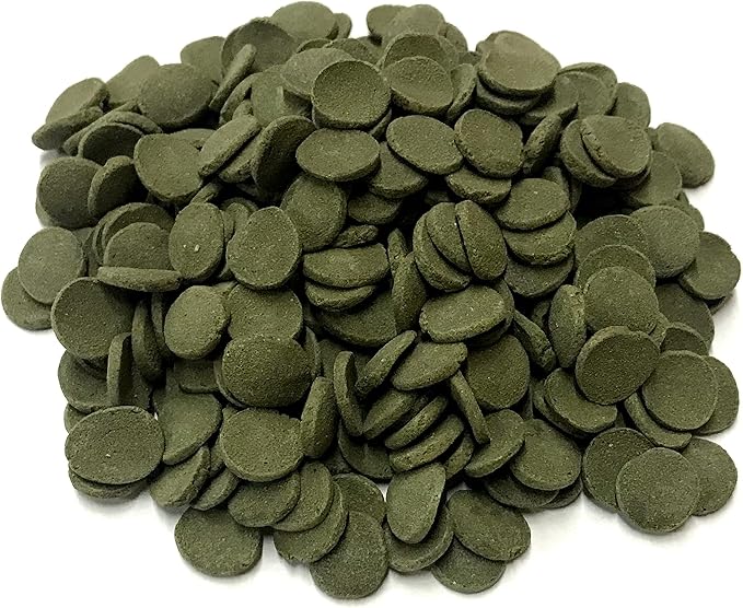 Medium 12mm Algae Wafer - Algae Wafers for Bottom Feeders - The Best Pleco Wafers & Pleco Food Available - Algae Wafers for Snails (2 lb)