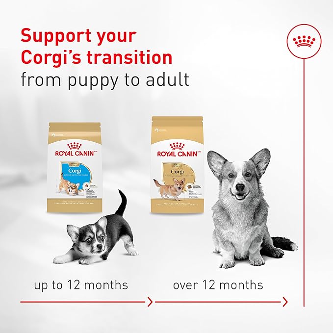 Royal Canin Corgi Puppy Dry Dog Food, Kibble for Corgis 2 to 12 Months, Supports Digestion and Bone and Joint Support 2.5 lb Bag