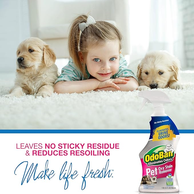 OdoBan Pet Solutions Oxy Stain Remover, Pet Stain Eliminator, 3-Pack, 32 Ounce Spray Each