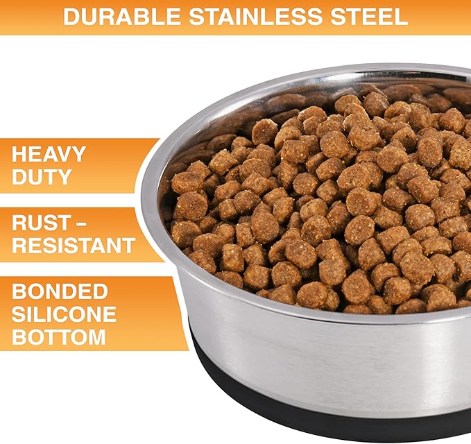Neater Pet Brands Stainless Steel Dog Bowls with Non-Slip Rubber Bottom – Set of 2, 6 Cup (48 oz), Black - Heavy Duty Metal Dog Bowl, Dishwasher Safe, Food or Water Bowl, Ideal for Large Dogs