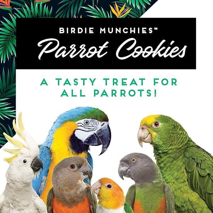 Oven Fresh Bites Natural Baked Treats, All-Natural Bird Treat Parrot Cookies, 4 Oz, Peanut Butter/Coconut Papaya/Oatmeal Raisin, 3-Pack