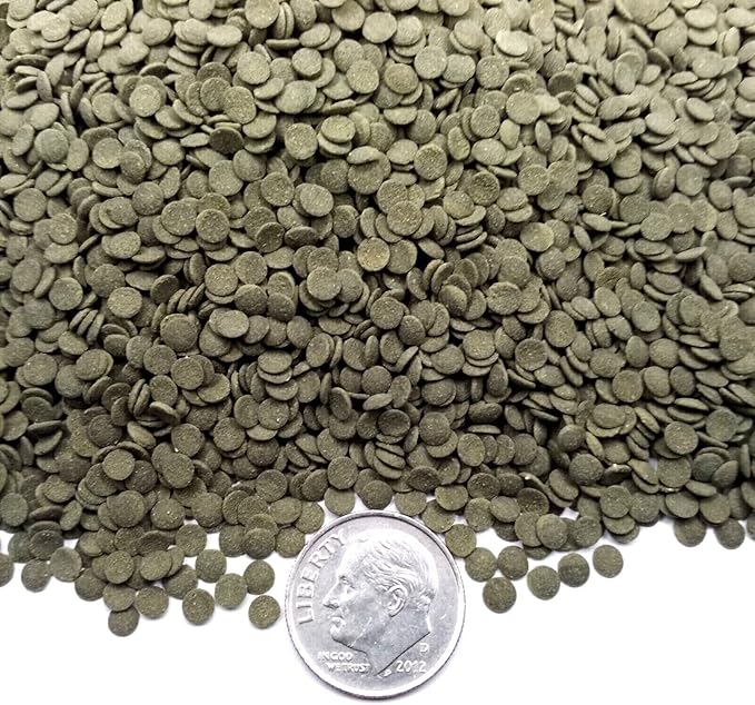 Aquatic Foods Inc. 3.5mm - 1/8" Spirulina, Algae & Veggies, Sinking Micro Wafers for Bottom Fish, Shrimp, Crabs, Crayfish, All Tropical Fish…4-lb & 10oz Lg Jar