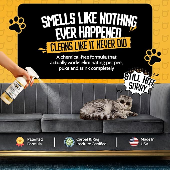P*SS OFF+ All Purpose Stain and Odor Remover - Professional Strength Cat Pee Odor Eliminator (32oz - No Black Light)
