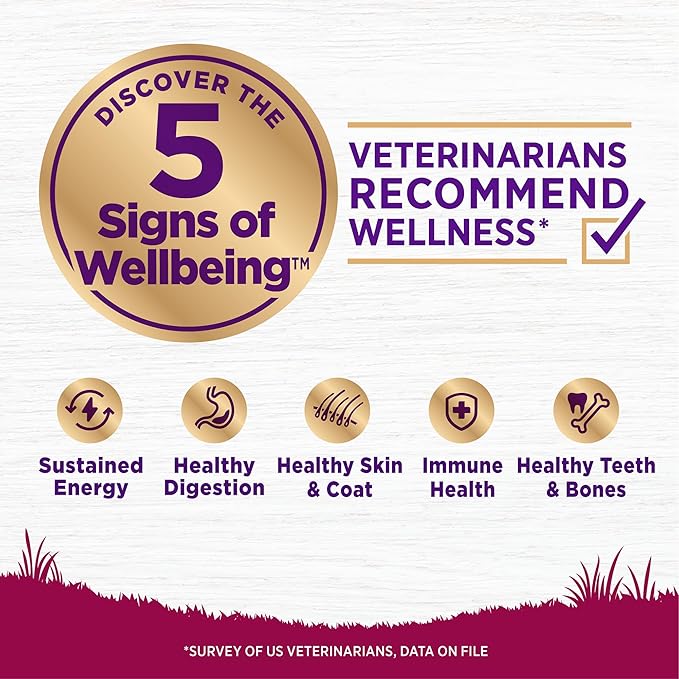 Wellness Complete Health Dry Dog Food, Small Breed, Wholesome Grains, Natural, Turkey & Oatmeal Recipe, (4-Pound Bag)