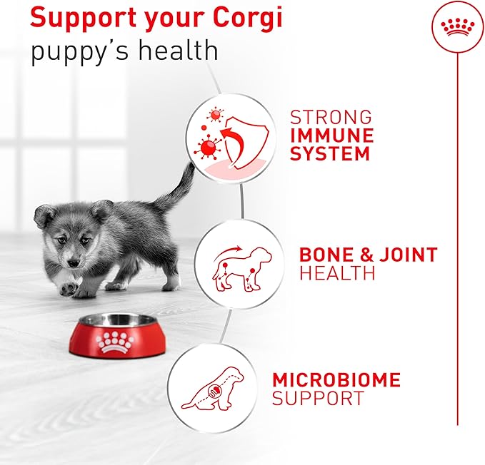 Royal Canin Corgi Puppy Dry Dog Food, Kibble for Corgis 2 to 12 Months, Supports Digestion and Bone and Joint Support 2.5 lb Bag