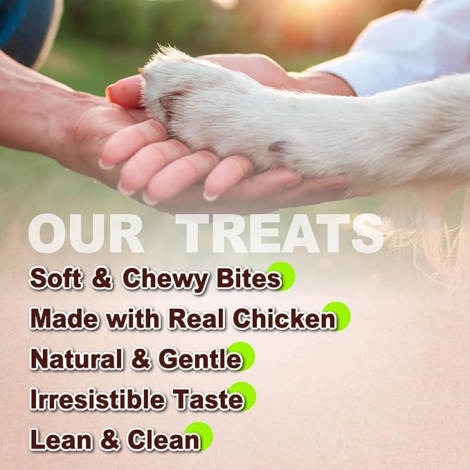 A Freschi srl Soft Chicken Dog Treats, All Natural, High-Protein, Healthy & Easily Digestible, Grain-Free Puppy Chews, Human Grade Training & Rewards Dog Snacks, Jerky Cuts, 16 oz Pack