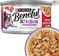 Purina Beneful Kitchen Creations With Beef and Garden Veggies in Sauce Wet Dog Food - (Pack of 12) 3 oz. Cans
