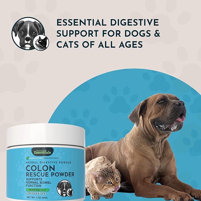 Animal Essentials Colon Rescue Powder - Herbal Digestive Aid for Dogs & Cats, Phytomucil, Healthy Gastrointestinal Tract, Certified Organic Herbs, No Preservatives, Glycerin-Based Formula - 1 Oz