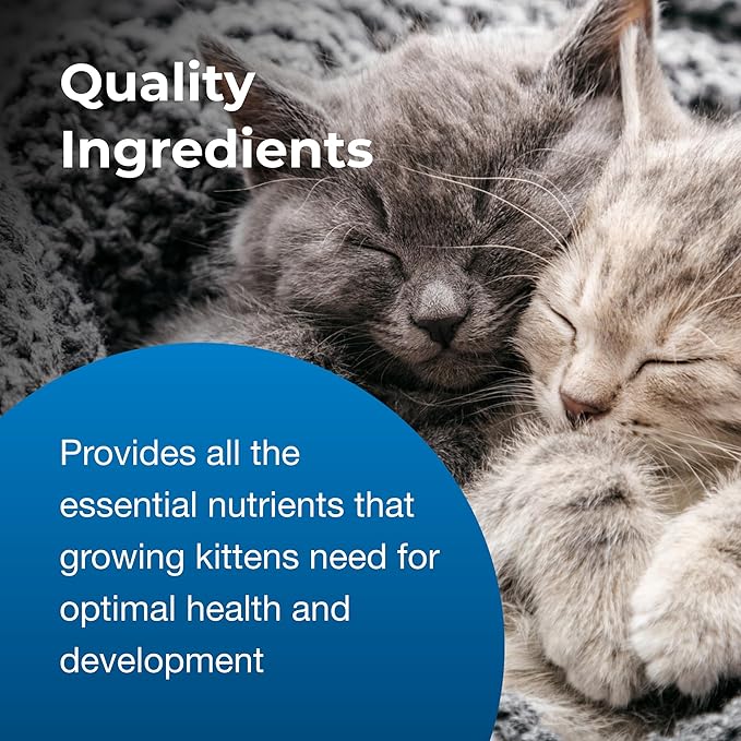 PetAg KMR Kitten Milk Replacer Powder - 6 oz - Powdered Kitten Formula with Prebiotics, Probiotics & Vitamins for Kittens Newborn to Six Weeks Old - Easy to Digest