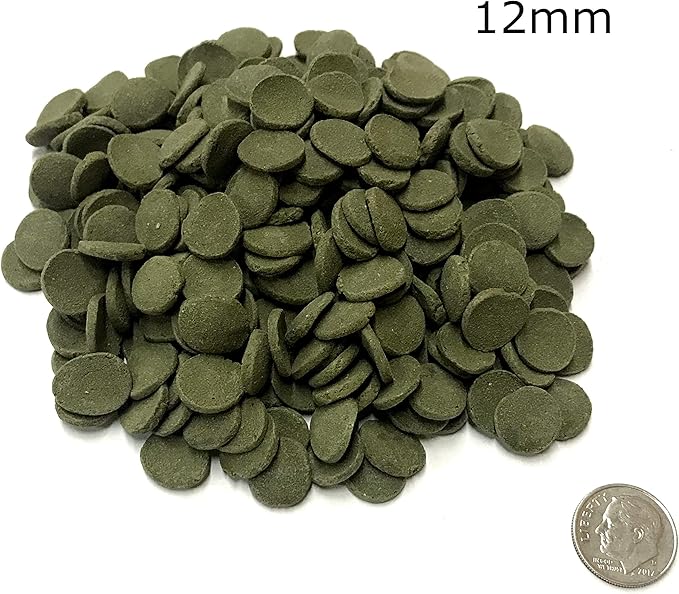 Medium 12mm Algae Wafer - Algae Wafers for Bottom Feeders - The Best Pleco Wafers & Pleco Food Available - Algae Wafers for Snails (5 lb)
