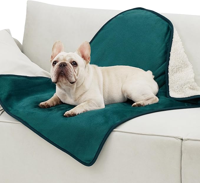 Bedsure Cat Blanket for Indoor Cats - Waterproof Calming Cat Blankets for Couch Protection, Sherpa Fleece Pet Blanket, Soft Plush Reversible Throw Furniture Protector, 40"x30", Green