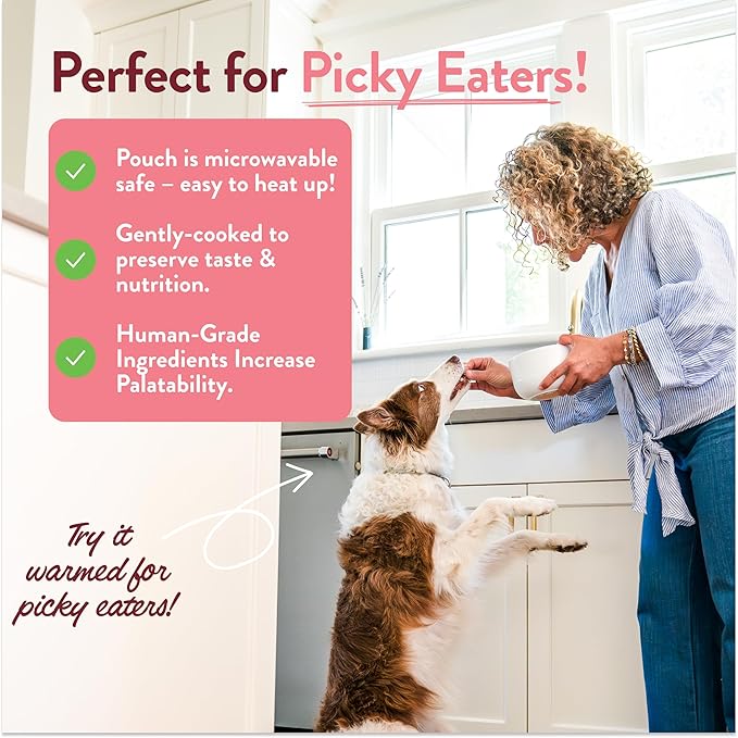 Portland Pet Food Company Fresh Dog Food Pouches Human-Grade Toppers Wet Pet Meal & Mix-Ins - Gluten-Free Limited Ingredient Wally’s Salmon N’ Rice - Large & Small Breed, Puppy to Senior - 8 Pack