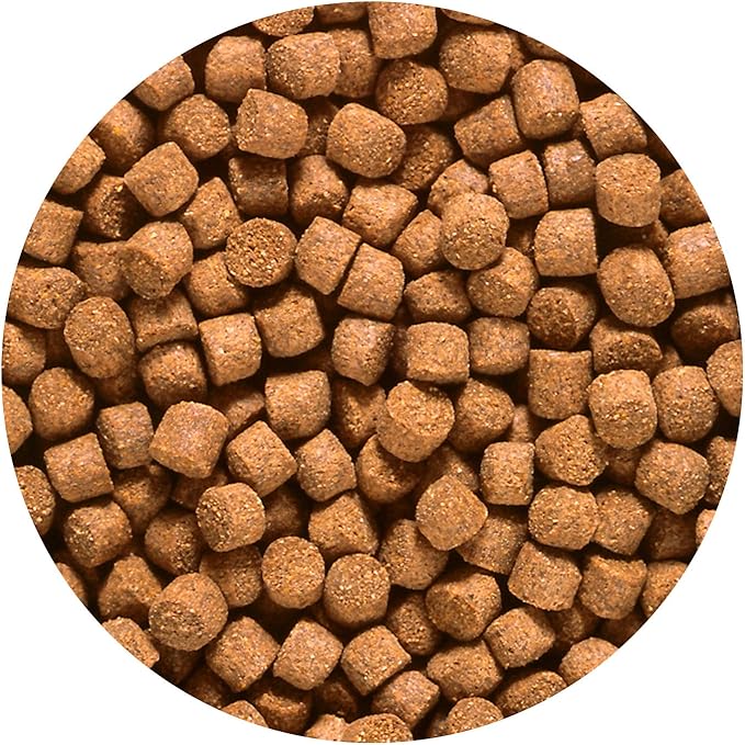 Hikari 3.5-Ounce Sinking Cichlid Gold Pellets for Pets, Medium