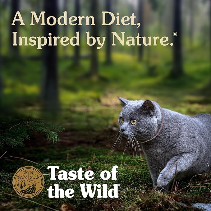 Taste Of The Wild High Protein Real Meat Recipes Premium Dry Cat Food With Superfoods And Nutrients Like Probiotics, Vitamins And Antioxidants For Adult Cats And Kittens 14lb (Pack of 1)