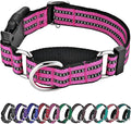 Hikiko Martingale Dog Collars Reflective Nylon Dog Collar with Quick Release Buckle Adjustable Training No Slip Dog Collar (Medium, Pink)