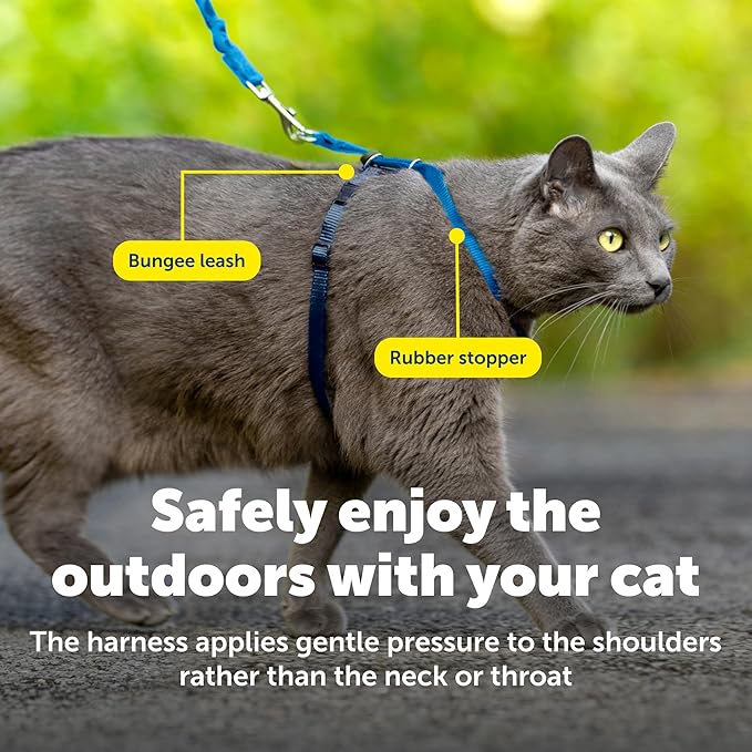 PetSafe Come With Me Kitty Cat Harness & Bungee Leash - Comfortable Cat Harness with Lightweight Bungee Leash for Outdoor Fun - More Secure Walks - Medium - Royal Blue