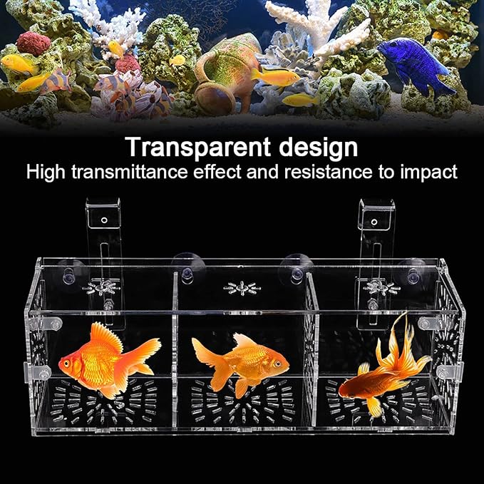 Fish Breeding Box, Acrylic Transparent Fish Tank Breeding Isolation Box Aquarium Hatchery Incubator Holder Fish Separation Breeder Box, with Hook and Sucker Design (30CM*10CM*10CM)