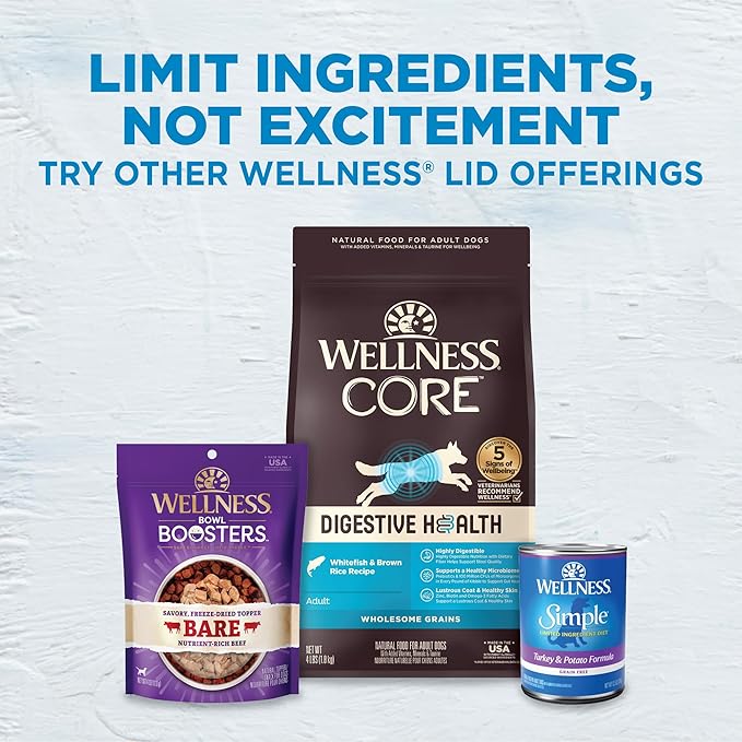 Wellness Simple Limited Ingredient Diet Adult Dry Dog Food, Wholesome Grain Kibble, Sensitive Stomach, Skin & Coat Support, Natural, Chicken Free, Lamb and Oatmeal Recipe, 40 lb Bag