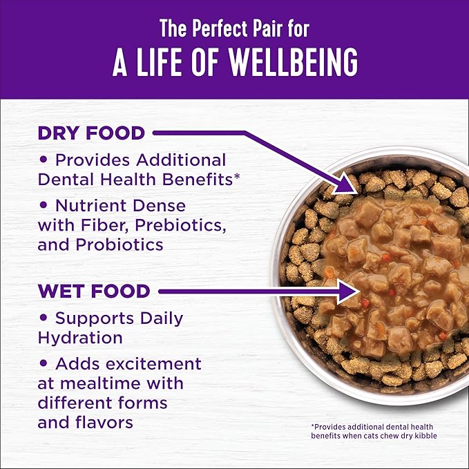 Wellness Complete Health Adult Dry Cat Food for Indoor and Outdoor Cats, Wholesome Grains, Natural, Chicken & Chicken Meal (5 Pound Bag)