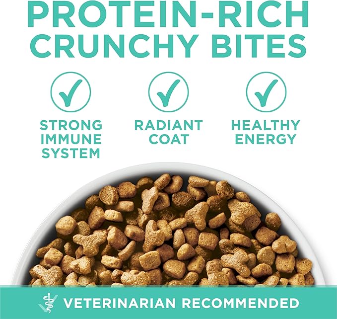Purina ONE Sensitive Stomach, Sensitive Skin, Natural Dry Cat Food, +Plus Sensitive Skin and Stomach Formula - 3.5 Lb. Bag