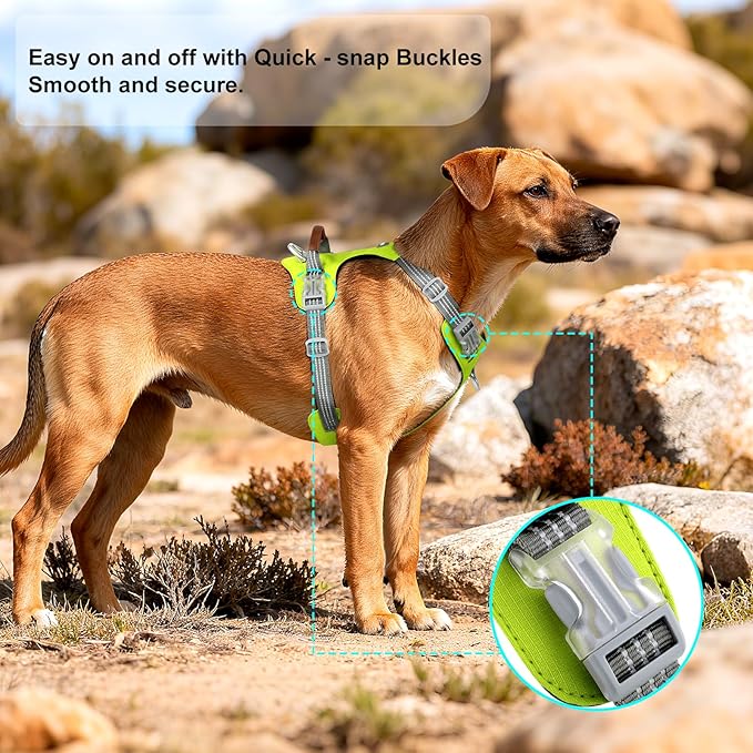 No Pull Dog Harness – Adjustable Reflective Nylon Vest for Small Medium Large Dogs, Escape Proof Training Harness with Leather Control Handle, Lightweight Aluminum Hardware (Green, M)