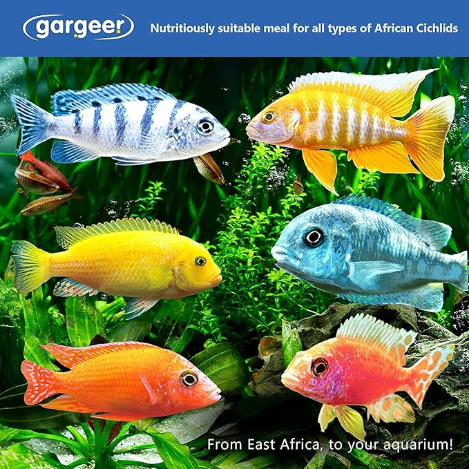 16oz African Cichlid Fish Food for Advanced Breeders. Complete African Cichlid Gel Diet for Both Juveniles & Adults. Made in The USA Using Premium Ingredients, Wild Nutrition Gourmet Formula