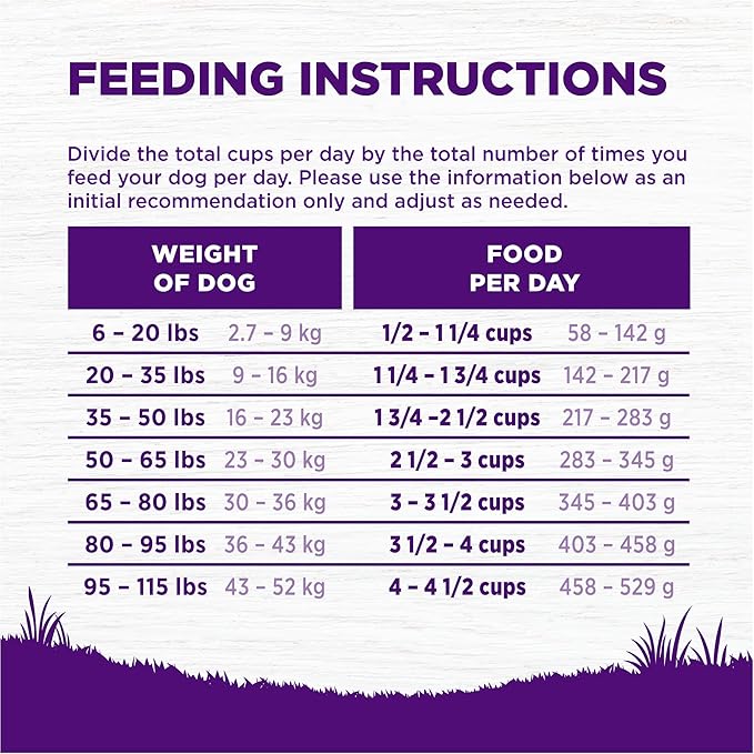 Wellness Complete Health Age Advantage Senior Dry Dog Food, Wholesome Grain Kibble, Natural, Chicken and Barley Recipe, 30 lb Bag