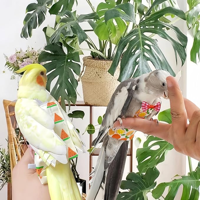 6Pcs Bird Diapers Bird Harness Flight Suits Diapers Reusable Parrot Nappy with Waterproof Inner Layer Washable Cute Urine Wet Suit Costume for Cockatiel Conure Budgie Macaw Parakeet,M