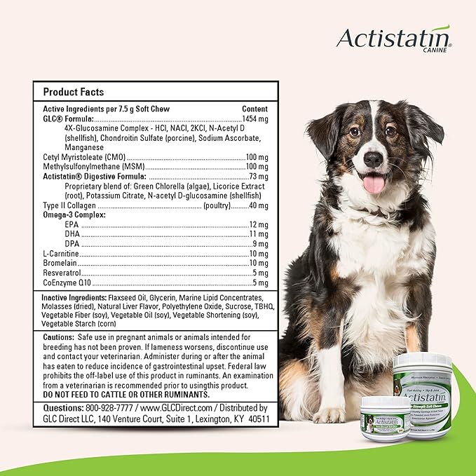 Actistatin Canine Large Dog Soft Chews, 120ct – Patented Extra-Strength Joint, Cartilage, Soft Tissue Supplement: Glucosamine, Chondroitin, Manganese, MSM, L-Carnitine – High Absorption, Fast Results