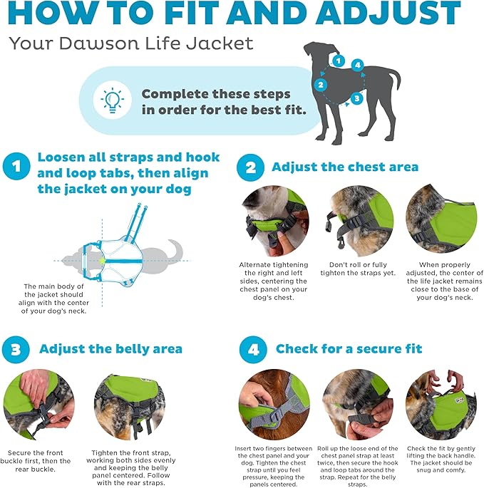 Outward Hound Dawson Swim Dog Life Jacket, High-Performance Neoprene Dog Life Vest for Swimming, Boating, and Water Safety, XS, Green