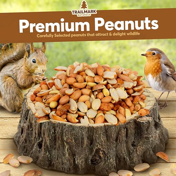 3 LB - Raw Shelled Peanuts For Squirrels, Out of Shell Peanuts For Birds and Wildlife- Squirrel Food, Wild Bird Seed - Grown in The USA
