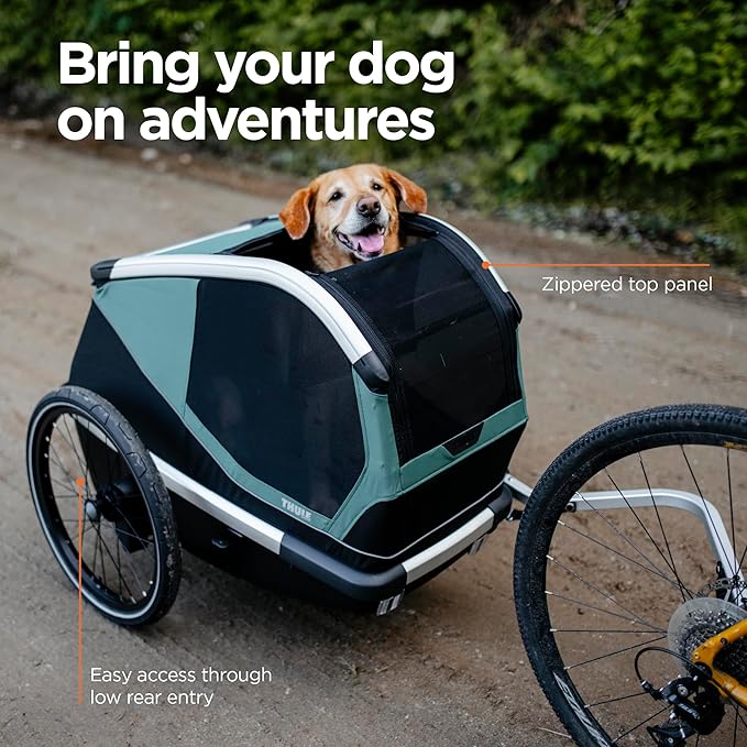 Thule Bexey pet Bike Trailer - Carrier for Small & Large Sized Dogs - Foldable Design - Easy to Connect to Bike - Padded Interior - Converts into Travel Crate - Durable Materials