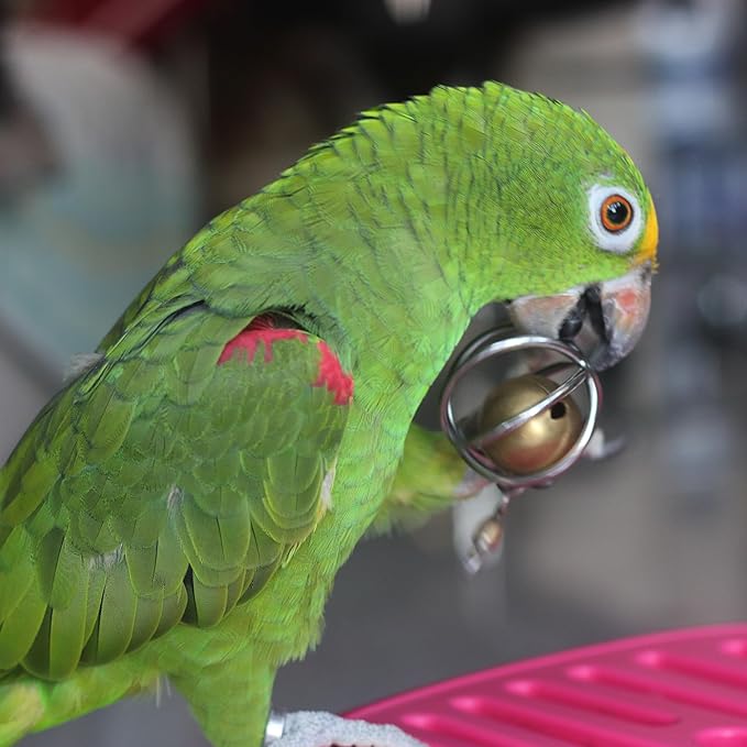 Fosrion Heavy Duty Stainless Steel Bird Toy for Large Parrots - Chew-Proof Foraging Ball with Bell for Macaws, Cockatoos, African Greys (Large)