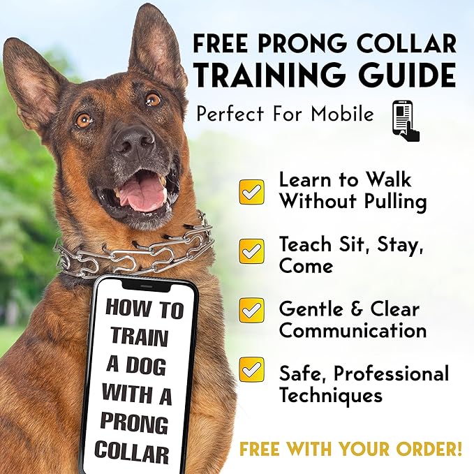 PetJett Prong Collar for Dogs - Choke Collar for Dogs, Pinch Collar for Dog Adjustable Dog Training Collar for Small Medium Large Breed - No Pull Safety Stainless Steel Metal Choker Chain Walking Tool