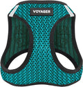 Best Pet Supplies Voyager Step-in Air Harness - All Weather Mesh, Reflective, No Pull Harness for Dogs, Cats - Secure with Hook & Loop Fastener, Buckle, Double D-Rings - Turqupise 2-Tone, S