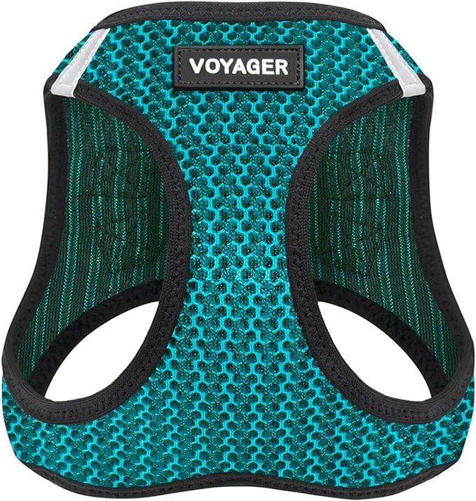 Best Pet Supplies Voyager Step-in Air Harness - All Weather Mesh, Reflective, No Pull Harness for Dogs, Cats - Secure with Hook & Loop Fastener, Buckle, Double D-Rings - Turqupise 2-Tone, S