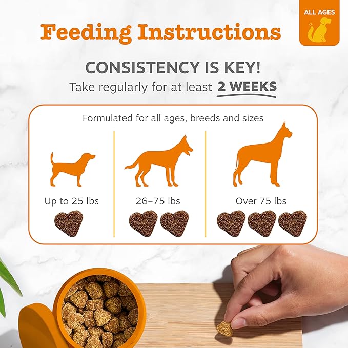 Zesty Paws Calming Chews for Dogs - for Everyday Stress, Relaxation, Composure, and Separation Peanut Butter 50 Count