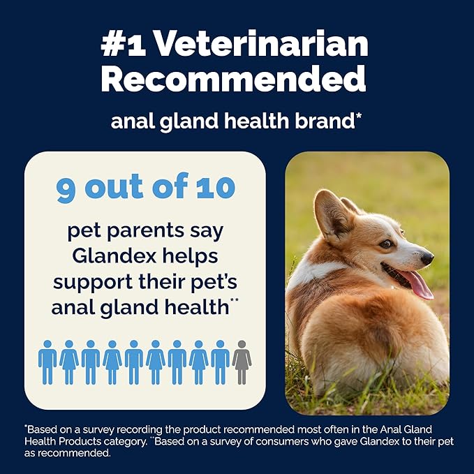 Vetnique Glandex Anal Gland Soft Chew Treats with Pumpkin for Dogs Digestive Enzymes, Probiotics Fiber Supplement for Dogs Boot The Scoot (Peanut Butter Chews, 120 Count)
