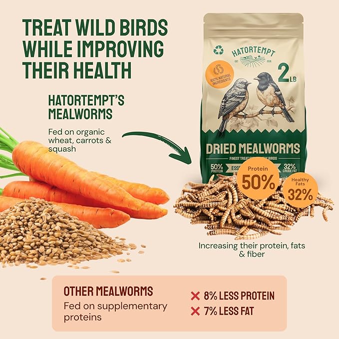 Hatortempt 1.8lb Dried Mealworms for Wild Birds - 50% Protein Meal Worms for Wild Birds - Attracts Bluebirds, Starlings, Wrens, Woodpeckers, Cardinals and Robins