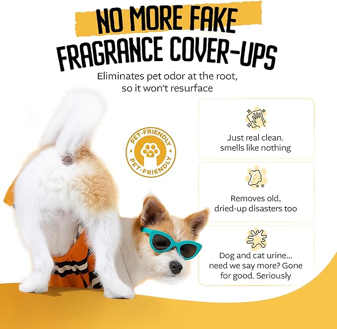 P*SS OFF+ All Purpose Stain and Odor Remover - Professional Strength Cat Pee Odor Eliminator (3 Fl Oz (Pack of 1))